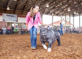 Last year to show; thank you to bidders, buyers at Washington County Fair Livestock Auction | By Jillian Schwanke