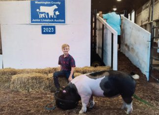 Thank you to hog buyers at Washington County Fair Livestock Auction | By Landon Darmody
