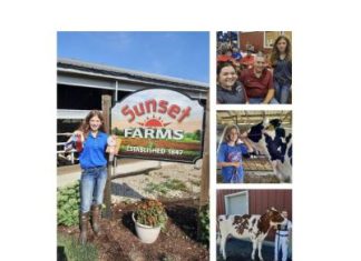 Thank you for supporting 4-H and my Holstein project | By Haley Hughes