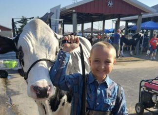 Washington County Fair is looking for volunteers, July 23 – 28, 2024