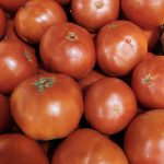 Blessed with rain at Witte’s Vegetable Market | By Gus Witte