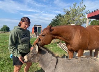 Check out Farm Store, petting zoo and more at Schmidt Century Farm in West Bend, WI