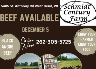 Schmidt Century Farms offers fresh angus beef at the Farm Store – order today