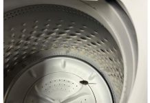 VIDEO | Signs of fall include colorful leaves, cooler temps, and a mouse in the washing machine