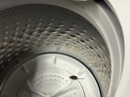 VIDEO | Signs of fall include colorful leaves, cooler temps, and a mouse in the washing machine