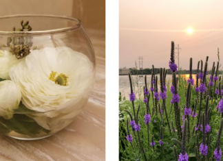 Register today | MOWA offers Artful Centerpieces workshop during BLOOM on Friday, November 3, 2023