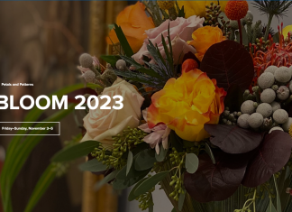 MOWA presents BLOOM | Petals and Patterns, Friday through Sunday, November 3-5, 2023