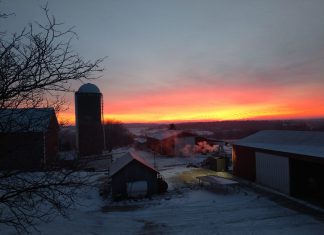 Farm work must be done… even during the holidays | By Deanna Schmidt – Schmidt Century Farm