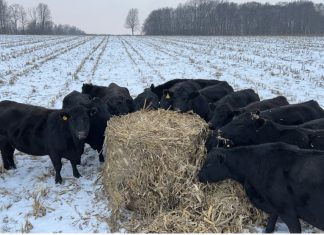 VIDEO | Submit your 2024 winter weather in Washington County, WI photo
