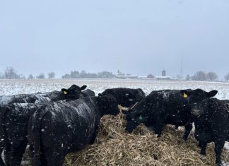 VIDEO | Submit your 2024 Washington County, Wi winter weather photo