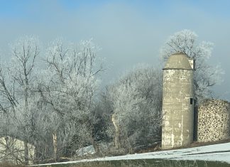 Hoar frost in Washington Co., WI