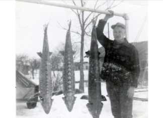 February 22, 2024, sturgeon harvest report | By Wisconsin DNR