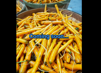 Witte Vegetable Farm closed for 4th of July, new hours starting July 8 | By Gus Witte