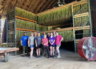 Garlic harvest complete at Krebs Pleasant View Farms in Hartford, WI | By Lisa Stuht