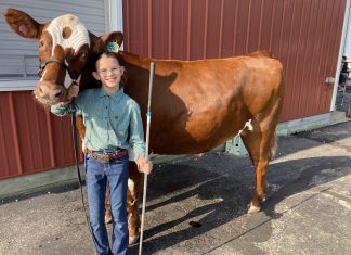 Addison Achievers 4-H sells market lamb and steer at 2024 Jr. Livestock Auction | By Anna Dornacker