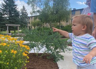 VIDEO | Joyful butterfly release at Cedar Community