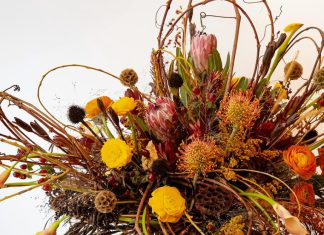 BLOOM 2024 People’s Choice Winner at MOWA