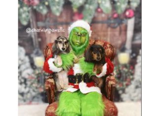 The Grinch will be at Charming Paws in Richfield on Sunday, December 1 for photos | By Ashley Lyneis