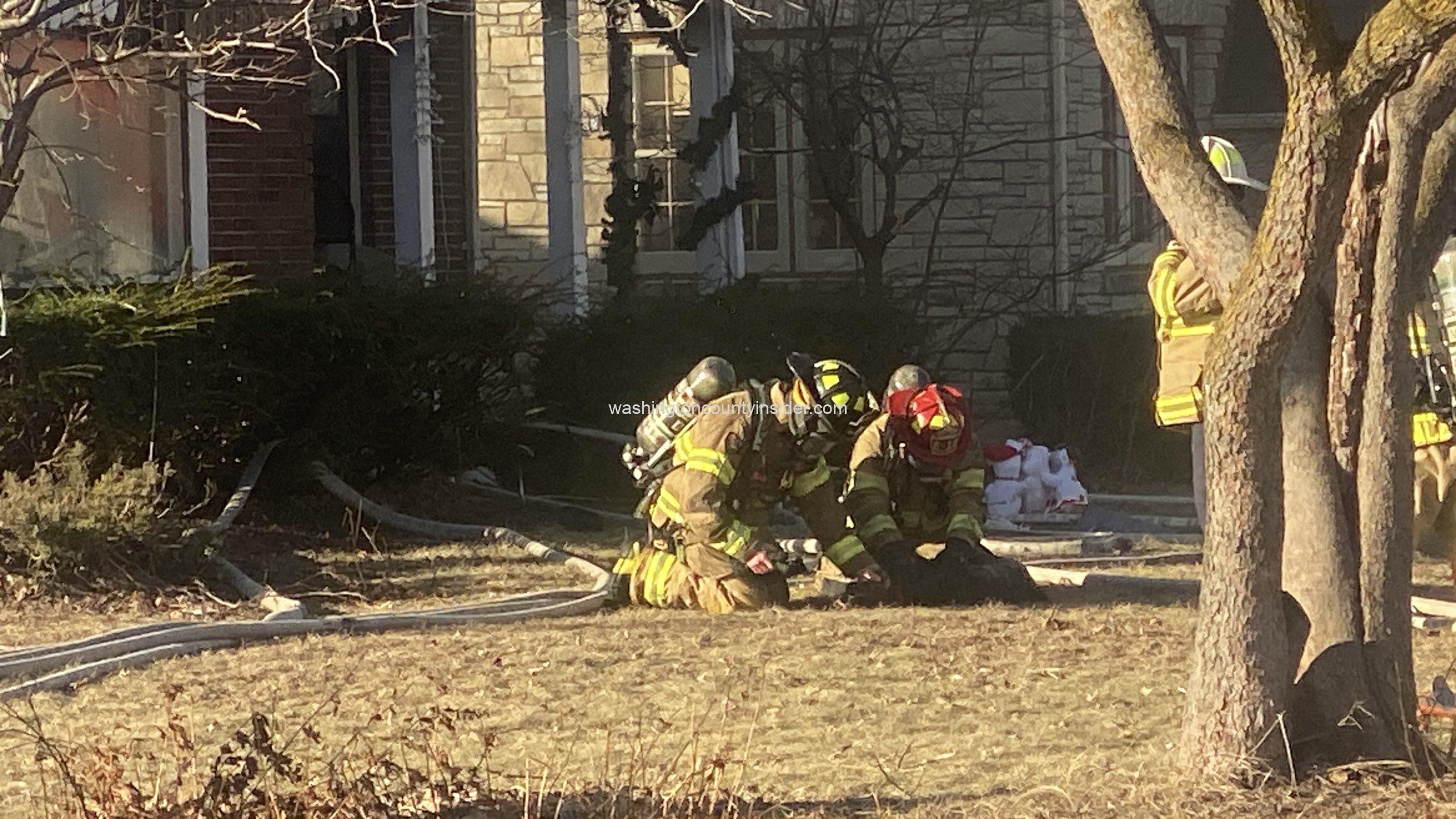dog rescued