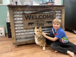 Shop Schmidt Century Farm – Farm Store open today at 9 a.m.