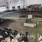 VIDEO | Fond du Lac County Breakfast on the Farm is June 23, 2024 at Abel Dairy Farm in Eden