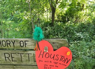 Rainbow Bridge memorial on Eisenbahn Trail for Houston the cat