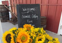 Shop Schmidt Century Farm – open today 9 a.m. – 5 p.m. | Know your farmer, know your food