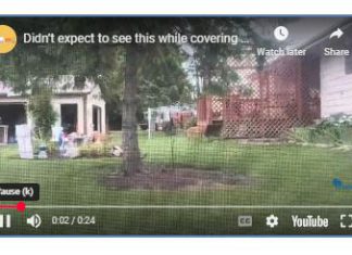 VIDEO | Unexpected guests on flood-damaged 16th Avenue in West Bend, Wi