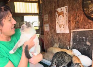 VIDEO | Family fun at 7th annual Schmidt Century Farm open house on October 5, 2025