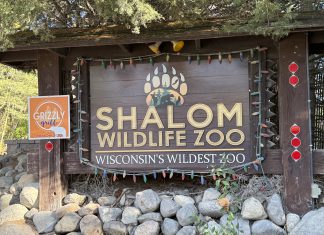 White tiger Ginger at Shalom Wildlife Zoo has died