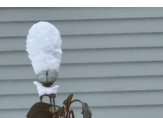 The snow-cap effect across Washington County, Wi