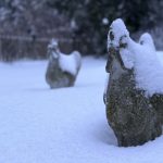 Chime in with your snowfall totals across Washington County, Wi