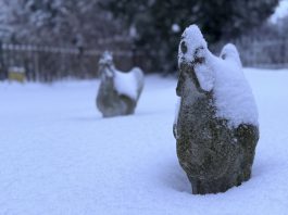 Chime in with your snowfall totals across Washington County, Wi