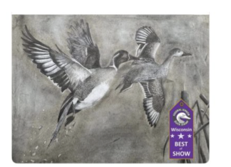 14-year-old Slinger High School student is a finalist in Duck Stamp design contest
