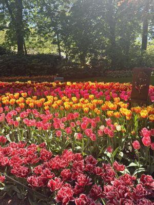 spring