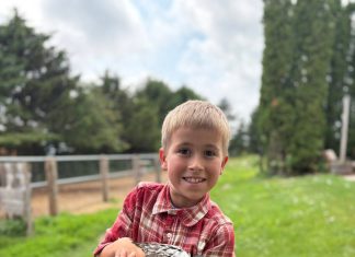 Shop Schmidt Century Farm – locally owned, farm fresh | Know your farmer, know your food