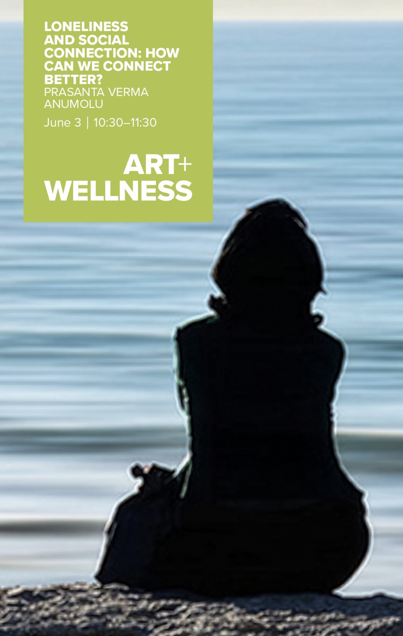Museum of Wisconsin Art – How can we connect better on June 3, 2026
