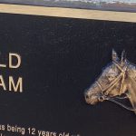 TheBiKeWriTer | Remembering Old Sam: The horse who came home