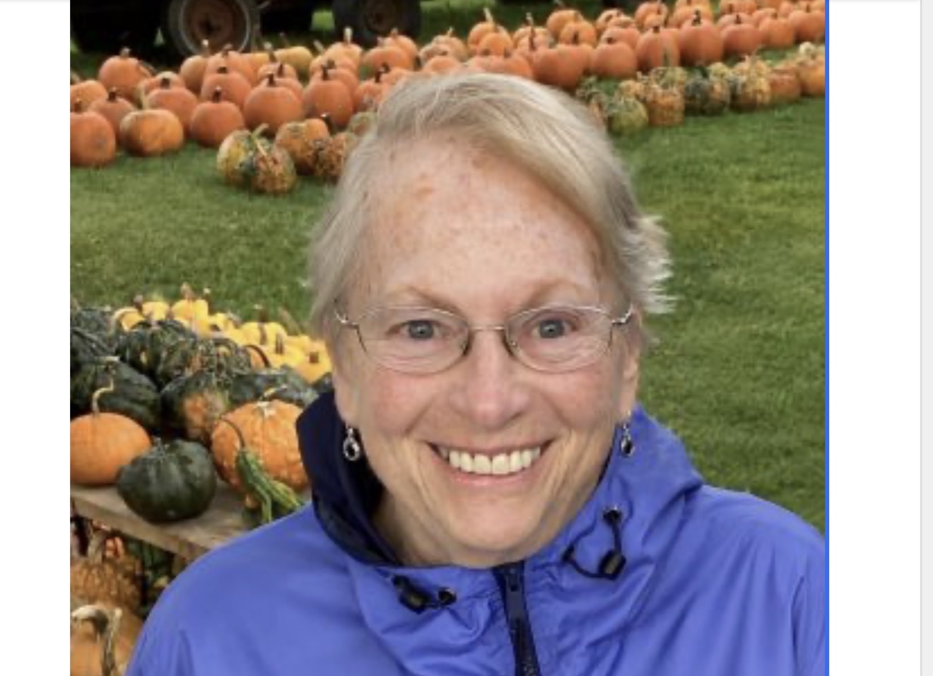 Obituary | Kay Ann Voll (nee Wandrey), 84, of West Bend, Wi