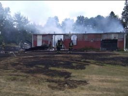 2 men & dog injured in explosion in Town of Cedarburg | By Ozaukee Co. Sheriff
