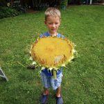 Annual Sunflower Challenge – submit your favorite photo