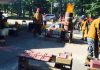 Sculpture & Savor brings Art, Food and Community together at Regner Park in West Bend, Wi | By Shawn Graff