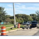 VIDEO | Let’s call this one… “The indecisive goose… “