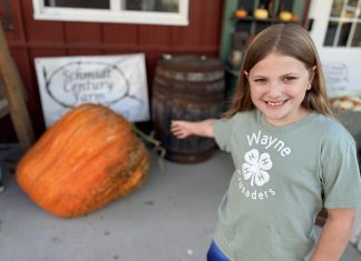 VIDEO | Girl, 8, from Town of Wayne grows monster 300+ pound pumpkin
